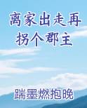 离家出走 小说