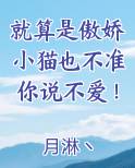 就算是傲娇小猫也不准你说不爱！小说全文免费阅读