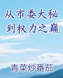 从市委大秘到权力之巅小说影视剧