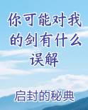 你可能对我的剑有什么误解