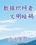 数据织网者：文明暗码