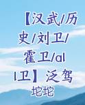 汉武刘卫将有主