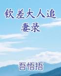 钦差大人追妻录小说全文免费阅读