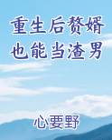 重生后赘婿也能当渣男