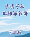 青青子衿 低糖海苔饼