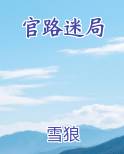 官路迷局