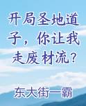 开局圣地道子，你让我走废材流？小说排行榜