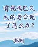 有钱鸡巴又大的老公死了怎么办？小说免费阅读