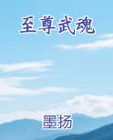 至尊武魂