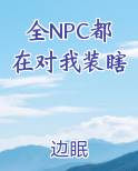 所有npc都爱我