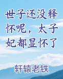 世子还没释怀呢，太子妃都显怀了