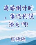 离婚倒计时30天免费阅读