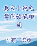 秦玄的小说