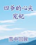 四爷的心尖宠妃