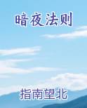 暗夜法则