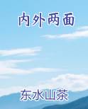 内外两面