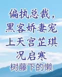 偏执总裁，黑客娇妻宠上天宫芷琪况启寒