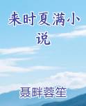 来时夏满小说