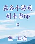 在各个游戏副本当npc