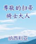 尊敬的扫帚骑士大人